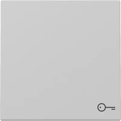 Gira Wippe mit Symbol Tür System 55 grau matt (3287015)