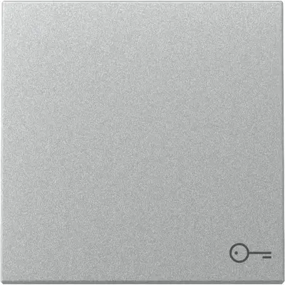 Gira Wippe mit Symbol Tür System 55 aluminium matt (328726)