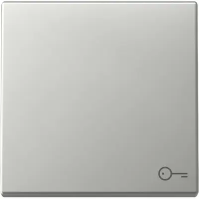 Gira Wippe mit Symbol Tür System 55 edelstahl (3287600)