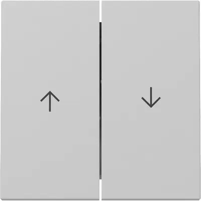 Gira Wippe Jalousieschalter 2fach System 55 grau matt (3294015)
