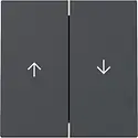 Gira Wippe Jalousieschalter 2fach System 55 anthrazit matt (329428)