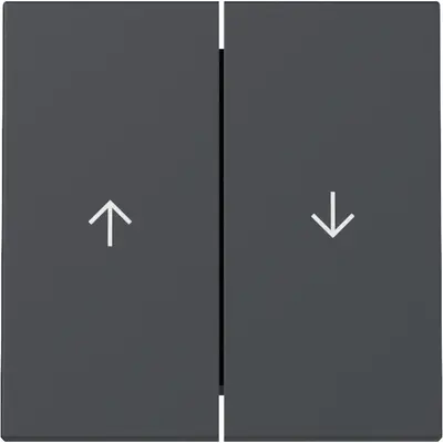 Gira Wippe Jalousieschalter 2fach System 55 anthrazit matt (329428)