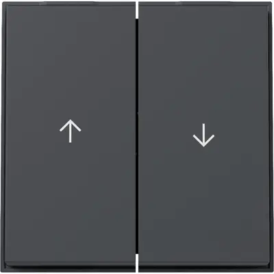 Gira Wippe Jalousieschalter 2fach TX44 anthrazit (329467)