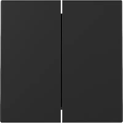 Gira Wippe 2fach System 55 schwarz matt (3295005)