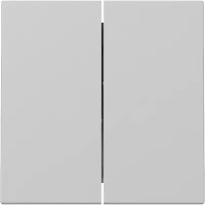 Gira Wippe 2fach System 55 grau matt (3295015)