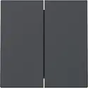 Gira Wippe 2fach System 55 anthrazit matt (329528)