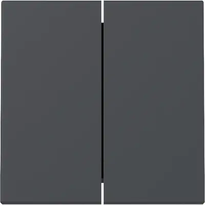 Gira Wippe 2fach System 55 anthrazit matt (329528)