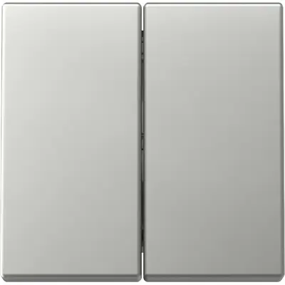 Gira Wippe 2fach System 55 edelstahl (3295600)