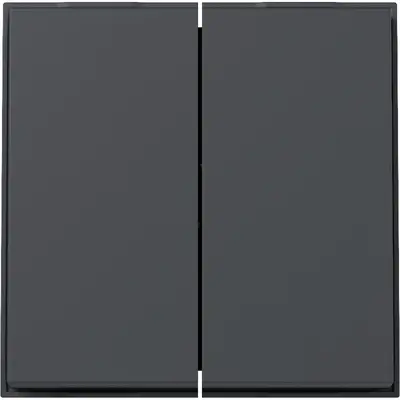 Gira Wippe 2fach TX44 anthrazit (329567)
