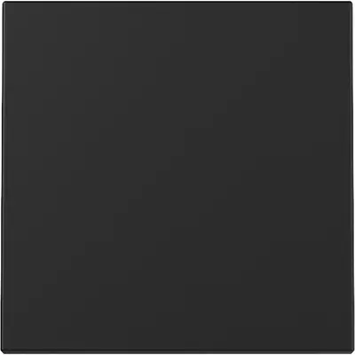 Gira Wippe 1fach System 55 schwarz matt (3296005)