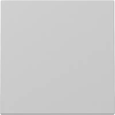 Gira Wippe 1fach System 55 grau matt (3296015)