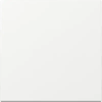 Gira Wippe 1fach System 55 weiß glänzend (329603)