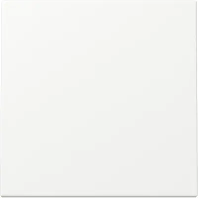 Gira Wippe 1fach System 55 weiß matt (329627)