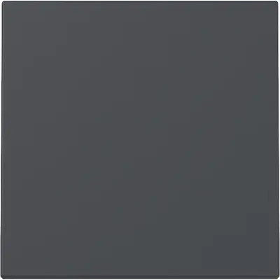 Gira Wippe 1fach System 55 anthrazit matt (329628)