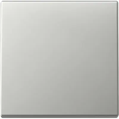 Gira Wippe 1fach System 55 edelstahl (3296600)