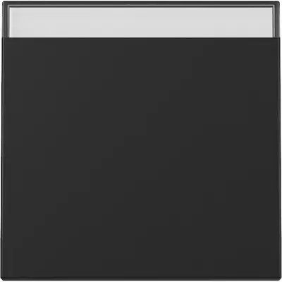 Gira Wippe mit Beschriftungsfeld System 55 schwarz matt (3299005)