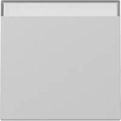 Gira Wippe mit Beschriftungsfeld System 55 grau matt (3299015)