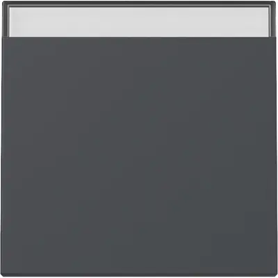 Gira Wippe mit Beschriftungsfeld System 55 anthrazit matt (329928)