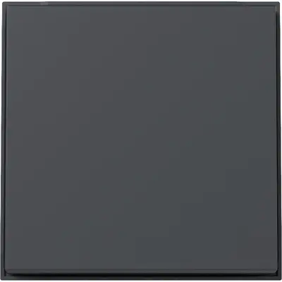 Gira Wippe 1fach TX44 anthrazit (329667)