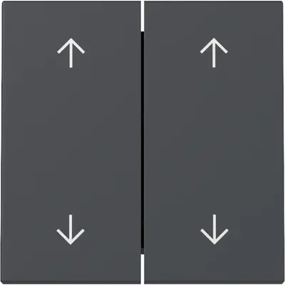 Gira Wippe Jalousieschalter 4-fach System 55 anthrazit matt (329728)
