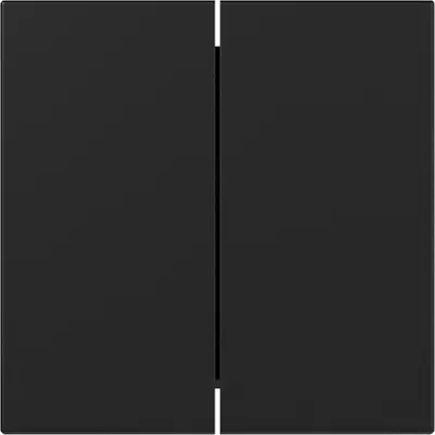 Gira Wippe 2fach gerade stehend System 55 schwarz matt (3495005)