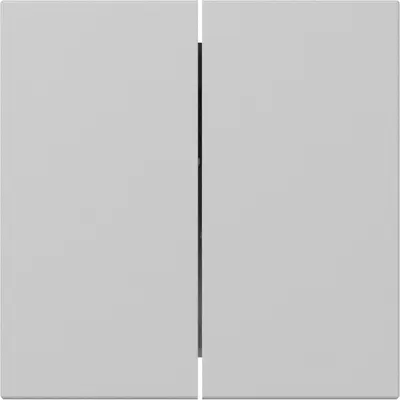 Gira Wippe 2fach gerade stehend System 55 grau matt (3495015)