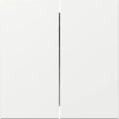 Gira Wippe 2fach gerade stehend System 55 weiß glänzend (349503)