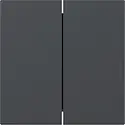 Gira Wippe 2fach gerade stehend System 55 anthrazit matt (349528)