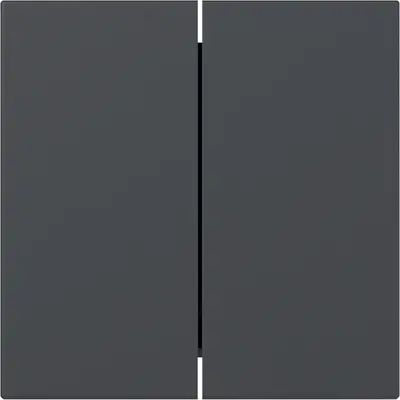 Gira Wippe 2fach gerade stehend System 55 anthrazit matt (349528)