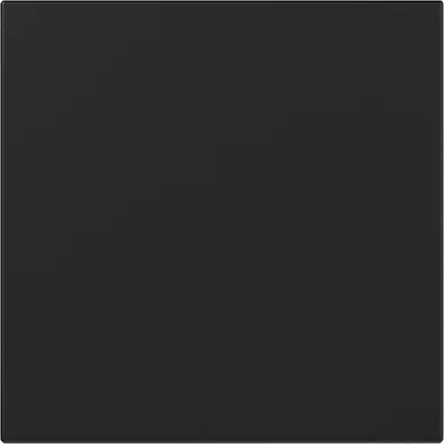 Gira Wippe gerade stehend System 55 schwarz matt (3496005)