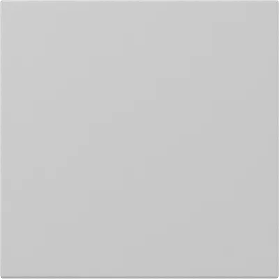 Gira Wippe gerade stehend System 55 grau matt (3496015)