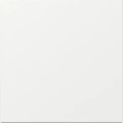 Gira Wippe gerade stehend System 55 weiß glänzend (349603)