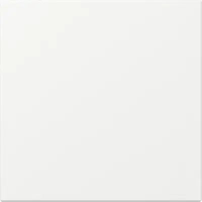 Gira Wippe gerade stehend System 55 weiß matt (349627)