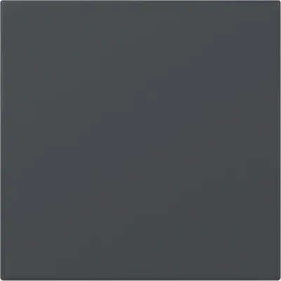 Gira Wippe gerade stehend System 55 anthrazit matt (349628)