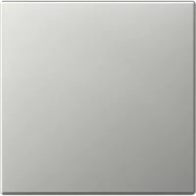 Gira Wippe gerade stehend System 55 edelstahl (3496600)