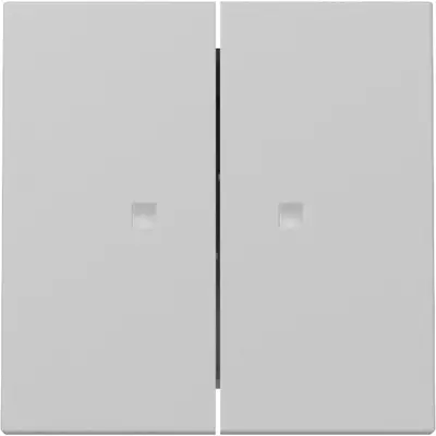 Gira Wippe 2fach mit Kontrollfenster System 55 grau matt (3631015)