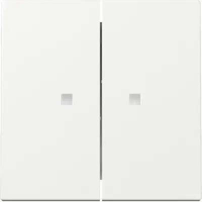 Gira Wippe 2fach mit Kontrollfenster System 55 weiß glänzend (363103)