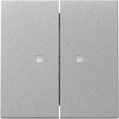 Gira Wippe 2fach mit Kontrollfenster System 55 aluminium matt (363126)
