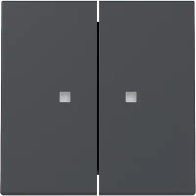 Gira Wippe 2fach mit Kontrollfenster System 55 anthrazit matt (363128)