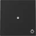 Gira Wippe mit Symbol Licht und Kontrollfenster System 55 schwarz matt (3674005)