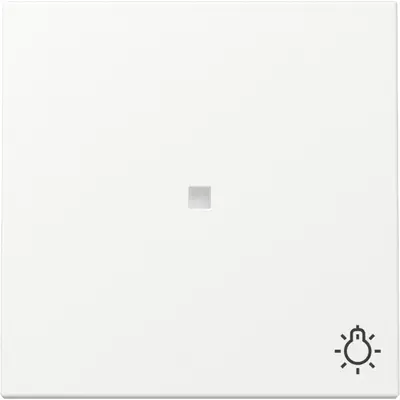 Gira Wippe mit Symbol Licht und Kontrollfenster System 55 weiß matt (367427)