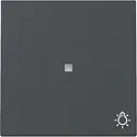 Gira Wippe mit Symbol Licht und Kontrollfenster System 55 anthrazit matt (367428)
