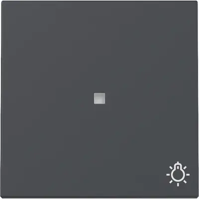 Gira Wippe mit Symbol Licht und Kontrollfenster System 55 anthrazit matt (367428)