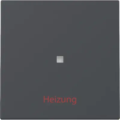 Gira Wippe mit Kontrollfenster und Aufdruck Heizung System 55 anthrazit matt (367828)