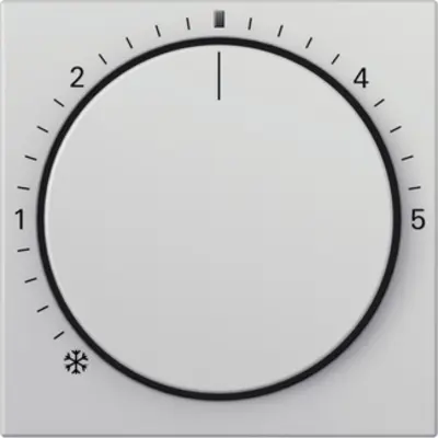 Gira Abdeckung für Raumtemperaturregler mit Kontrolllicht System 55 grau matt (2702015)