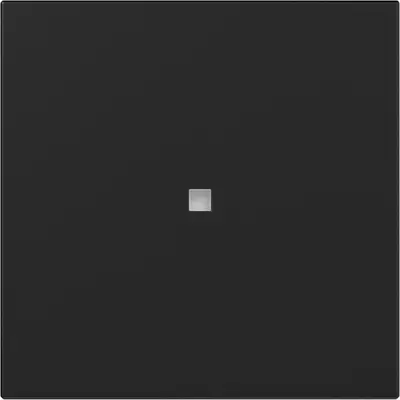 Gira Wippe gerade stehend mit Kontrollfenster System 55 schwarz matt (3490005)