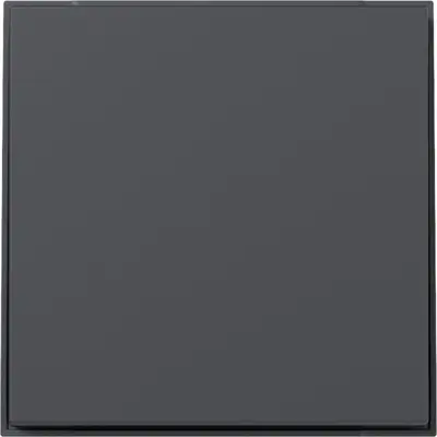 Gira Wippe gerade stehend TX44 anthrazit (349667)