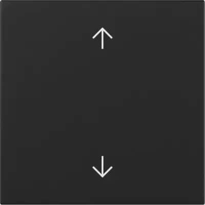 Gira Wippe Pfeile System 55 schwarz Matt (3616005)