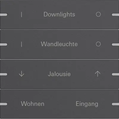 Gira wippenset 4-fach indiv. Tastsens.4 TS4 Anthrazit(lack.) (5034928)