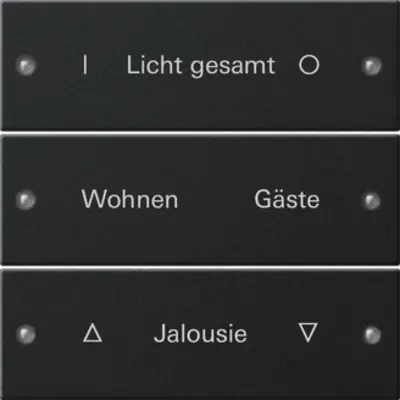 Gira Wippenset 3fach beschreibbar (2203005)